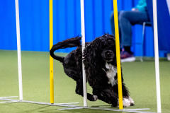 2023-AADTC-April-Trial-550