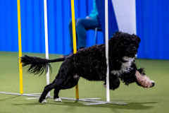 2023-AADTC-April-Trial-551