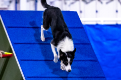 2023-AADTC-April-Trial-552