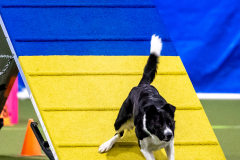 2023-AADTC-April-Trial-556