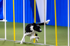 2023-AADTC-April-Trial-558