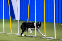 2023-AADTC-April-Trial-559