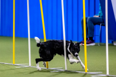 2023-AADTC-April-Trial-560