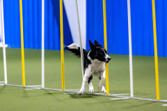 2023-AADTC-April-Trial-564