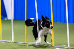 2023-AADTC-April-Trial-565