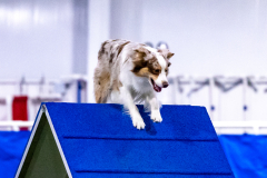 2023-AADTC-April-Trial-569