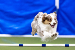 2023-AADTC-April-Trial-571