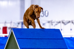 2023-AADTC-April-Trial-572