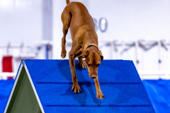 2023-AADTC-April-Trial-573