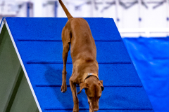 2023-AADTC-April-Trial-574