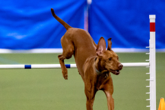 2023-AADTC-April-Trial-575