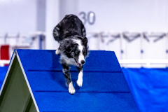 2023-AADTC-April-Trial-576