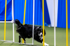 2023-AADTC-April-Trial-578