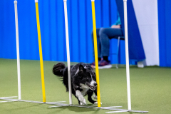 2023-AADTC-April-Trial-581