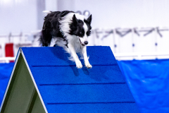 2023-AADTC-April-Trial-582