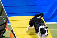 2023-AADTC-April-Trial-583