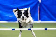 2023-AADTC-April-Trial-584