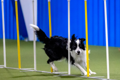 2023-AADTC-April-Trial-587