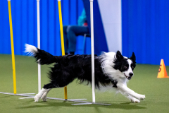 2023-AADTC-April-Trial-589