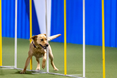 2023-AADTC-April-Trial-593