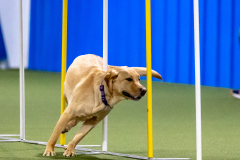 2023-AADTC-April-Trial-594