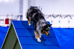 2023-AADTC-April-Trial-595