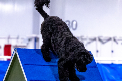 2023-AADTC-April-Trial-596