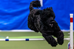 2023-AADTC-April-Trial-597