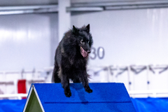 2023-AADTC-April-Trial-598