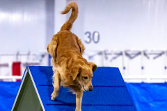 2023-AADTC-April-Trial-601