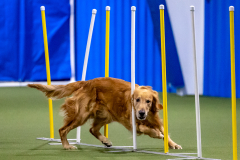 2023-AADTC-April-Trial-604