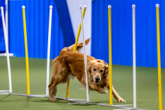 2023-AADTC-April-Trial-605