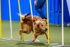 2023-AADTC-April-Trial-607