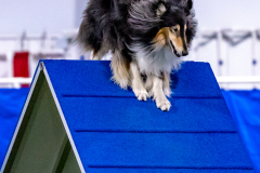 2023-AADTC-April-Trial-608