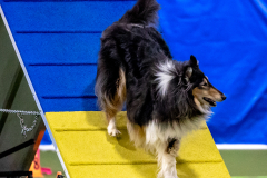 2023-AADTC-April-Trial-609