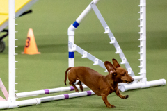 2023-AADTC-April-Trial-613