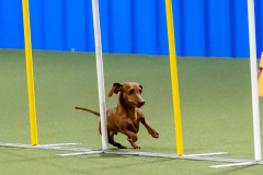 2023-AADTC-April-Trial-616