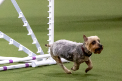 2023-AADTC-April-Trial-624