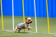 2023-AADTC-April-Trial-627