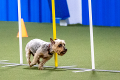 2023-AADTC-April-Trial-630