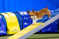 2023-AADTC-April-Trial-632