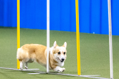 2023-AADTC-April-Trial-634