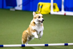 2023-AADTC-April-Trial-637