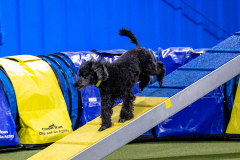 2023-AADTC-April-Trial-638