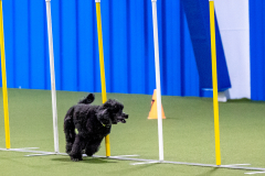 2023-AADTC-April-Trial-643