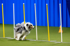 2023-AADTC-April-Trial-647