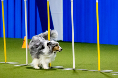 2023-AADTC-April-Trial-649