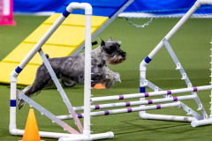 2023-AADTC-April-Trial-651