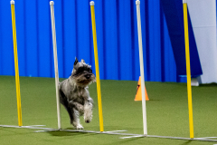 2023-AADTC-April-Trial-655