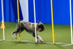 2023-AADTC-April-Trial-657